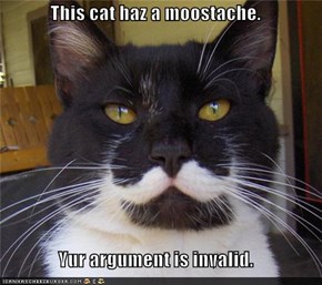 This cat haz a moostache.  Yur argument is invalid.