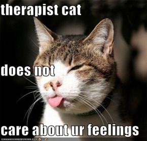 therapist cat   does not care about ur feelings