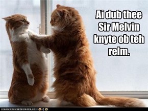 Ai dub thee Sir Melvin knyte ob teh relm.