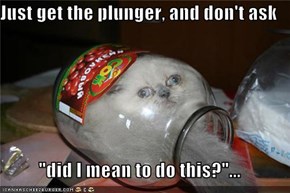 Just get the plunger, and don't ask  "did I mean to do this?"...