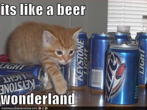 its like a beer  wonderland