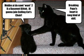 Mebbe ai do nawt *want* 2 B a Basemnt Kitteh.  Ai gonna join Ceiling Cat's Choir!