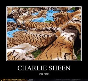 CHARLIE SHEEN