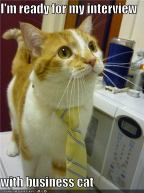 I'm ready for my interview  with business cat