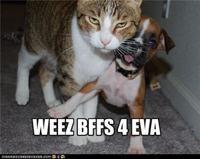 WEEZ BFFS 4 EVA