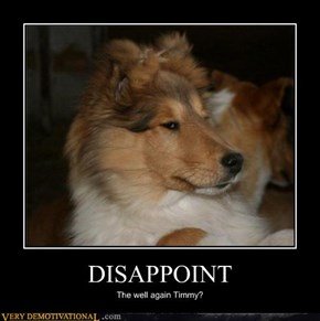 DISAPPOINT