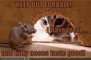 KEEP OUT FURBALL! I have teeth... and kitty noses taste good!