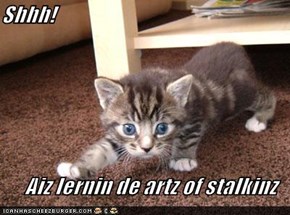 Shhh!  Aiz lernin de artz of stalkinz