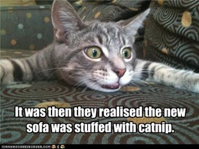 It was then they realised...