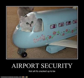 AIRPORT SECURITY