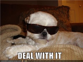 DEAL WITH IT