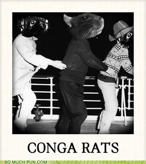 CONGA RATS