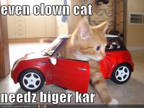 even clown cat   needz biger kar