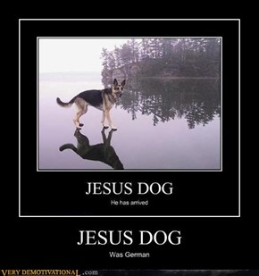 JESUS DOG