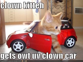 clown kitteh  gets owt uv clown car