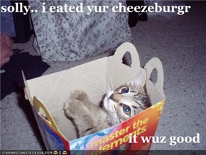 solly.. i eated yur cheezeburgr  it wuz good