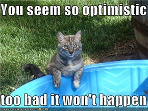 You seem so optimistic  too bad it won't happen