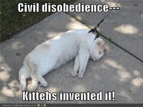 Civil disobedience---