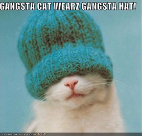 GANGSTA CAT WEARZ GANGSTA HAT!