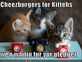 Cheezburgers for Kittehs  we r waitin fur yur pledgez
