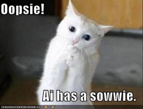 Oopsie!  Ai has a sowwie.