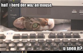 hai!  i herd der waz an mouse. u seen it?