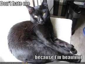 Don't hate me  because I'm beautiful