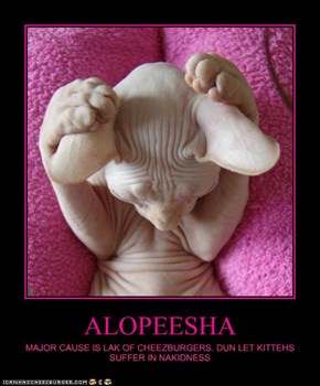 ALOPEESHA