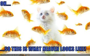 OH....  ....SO THIS IS WHAT HEAVEN LOOKS LIKE!