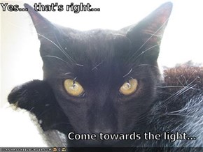 Yes...  that's right...  Come towards the light...