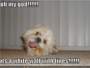 oh my god!!!!!!  its a white wall with lines!!!!!!