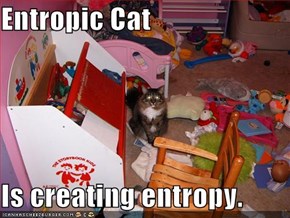 Entropic Cat  Is creating entropy.