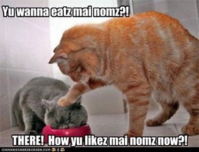 Don't mess with kitteh's nomz!