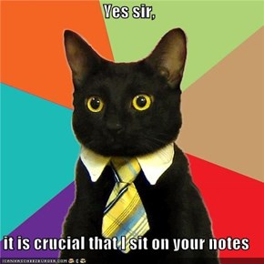 Business Cat: For Starters, You Are Using Them