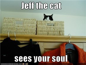 Jeff the cat   sees your soul
