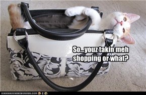 So...youz takin meh shopping or what?