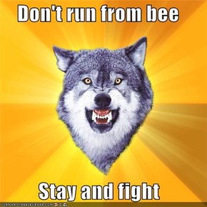 Courage Wolf: Don't run from bee