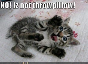 NO! Iz not throwpillow!
