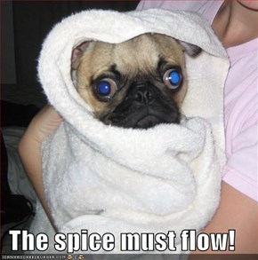The spice must flow!