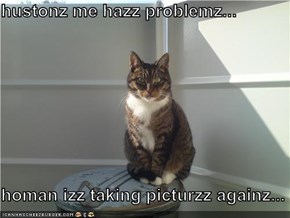 hustonz me hazz problemz...  homan izz taking picturzz againz...