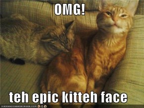OMG!  teh epic kitteh face