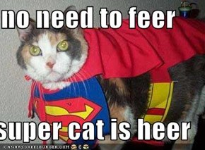 no need to feer  super cat is heer