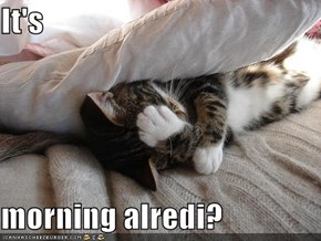 It's  morning alredi?