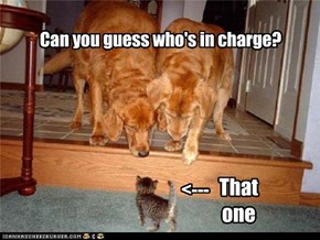 Can you guess who's in charge?