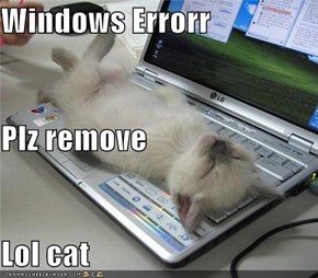 Windows Errorr Plz remove Lol cat