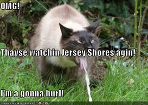 OMG! Thayse watchin Jersey Shores agin! I'm a gonna hurl!