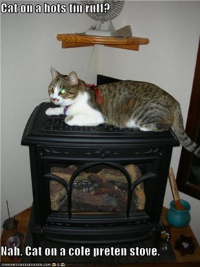 Cat on a hots tin ruff?  Nah. Cat on a cole preten stove.