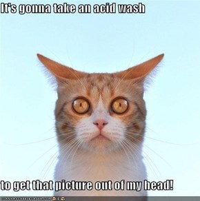 It's gonna take an acid wash  to get that picture out of my head!