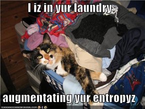 I iz in yur laundry  augmentating yur entropyz