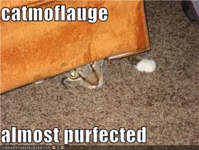 catmoflauge  almost purfected